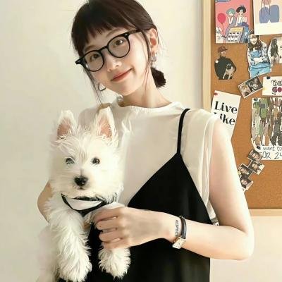 新奇士家族海报